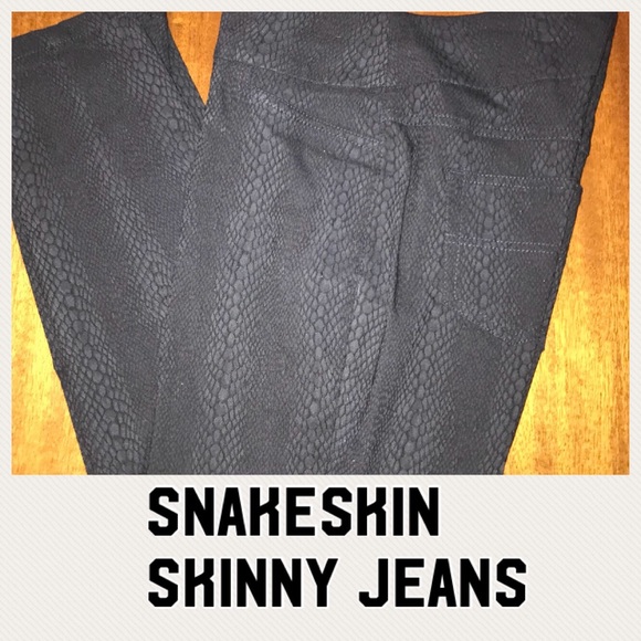 Westbound Pants - Westbound petites snakeskin print skinny pants